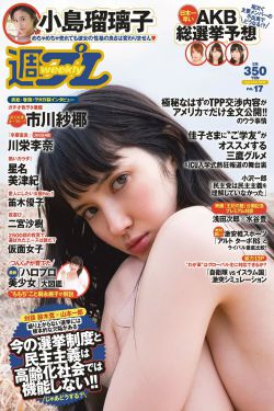 wordpress成品网站