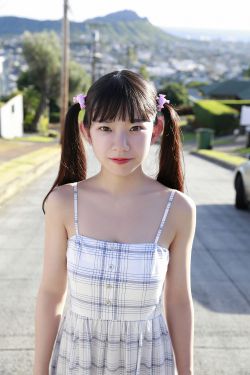 野狼disco歌词